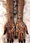 Mehandi Designs